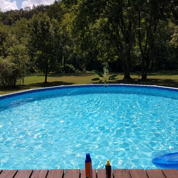 Meet your Posher, Virginia - Picture 5 of 6